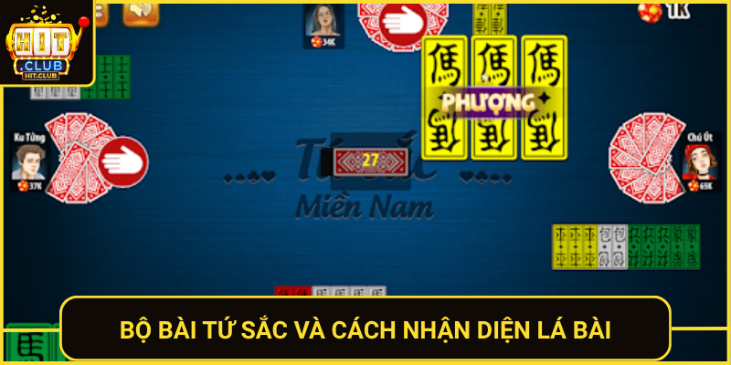 Bo Bai Tu Sac Va Cach Nhan Dien La Bai