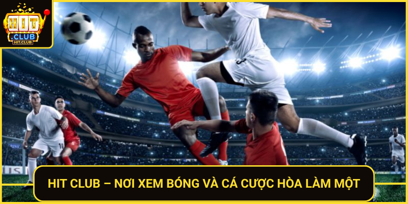Hit Club Noi Xem Bong Va Ca Cuoc Hoa Lam Mot